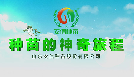 青島企業產品宣傳片制作_青島企業產品宣傳片制作公司